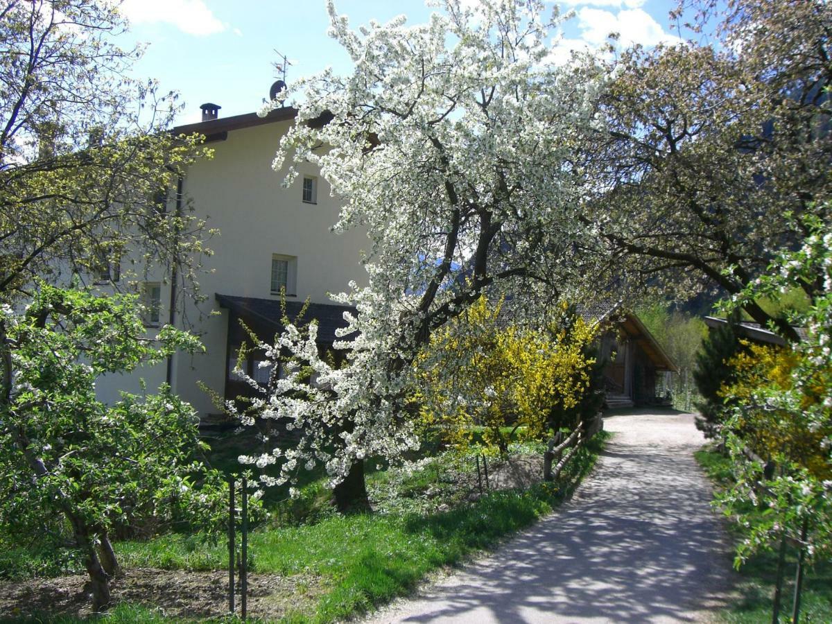 Mareinhof - Urlaub Auf Dem Apfelbauernhof Apartman Parcines Kültér fotó