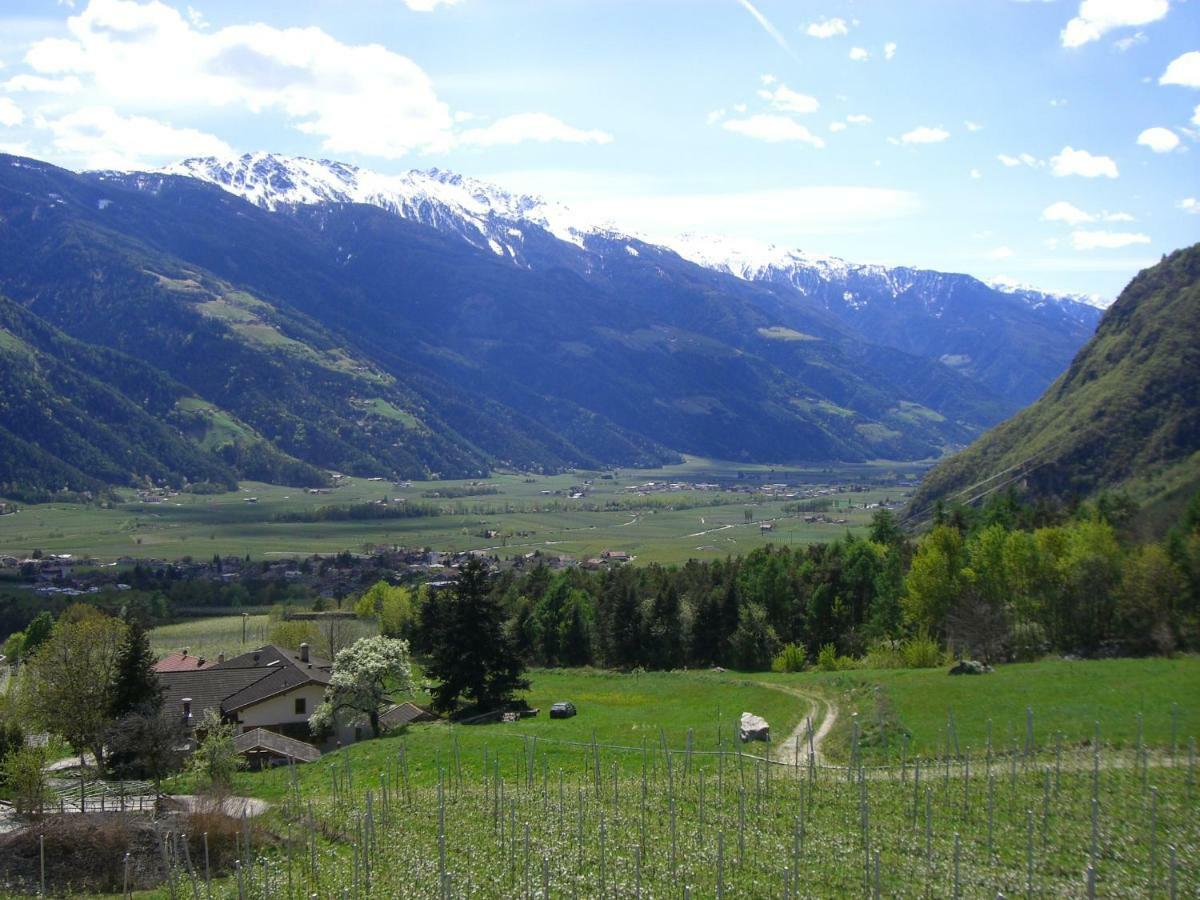Mareinhof - Urlaub Auf Dem Apfelbauernhof Apartman Parcines Kültér fotó