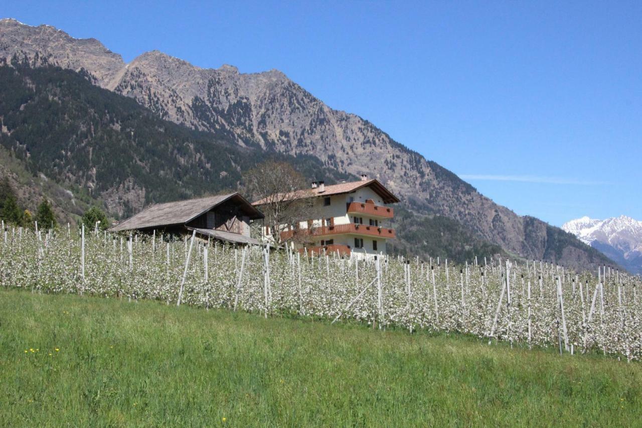 Mareinhof - Urlaub Auf Dem Apfelbauernhof Apartman Parcines Kültér fotó